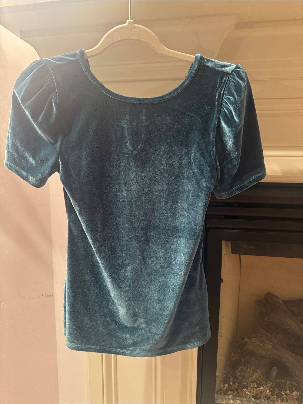 Express Velvet Short Sleeve Top in Teal Blue